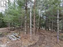 0 OLD MUSKOKA Road Unit# Lot 2 Emsdale