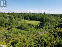 20 CARRICK Trail Gravenhurst