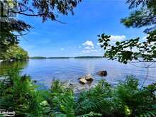 1 CEDAR Island Gravenhurst