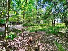 1 CEDAR Island Gravenhurst