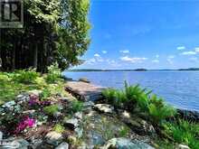 1 CEDAR Island Gravenhurst