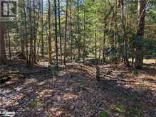 98 CEDAR SHORES Private Bracebridge