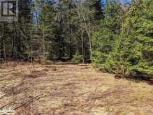 98 CEDAR SHORES Private Bracebridge