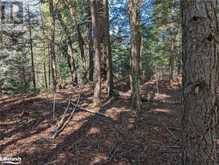 98 CEDAR SHORES Private Bracebridge