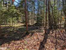 98 CEDAR SHORES Private Bracebridge