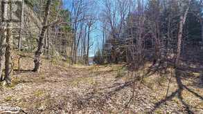 115 LONGS LAKE Road Utterson