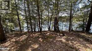 36 MAGNET Road Magnetawan