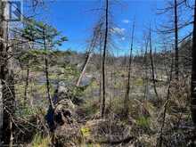 LOT 32 HIGHWAY 6 South Bruce Peninsula