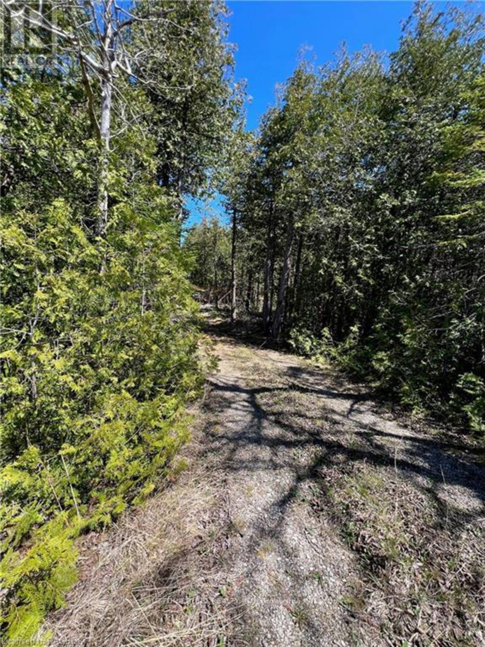 LOT 32 HIGHWAY 6 South Bruce Peninsula