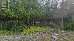 LT 254 PL 433 DORCAS BAY ROAD Northern Bruce Peninsula