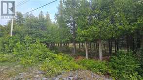 LT 254 PL 433 DORCAS BAY ROAD Northern Bruce Peninsula