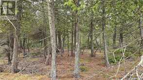 LT 255 PL 433 PEDWELL PT DRIVE Northern Bruce Peninsula