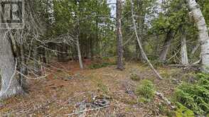 LT 255 PL 433 PEDWELL PT DRIVE Northern Bruce Peninsula