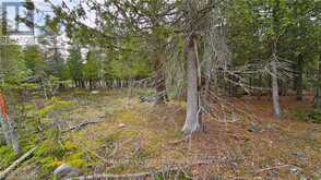 LT 255 PL 433 PEDWELL PT DRIVE Northern Bruce Peninsula