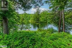 10469 LITTLE HAWK Lake Algonquin Highlands