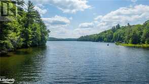 10469 LITTLE HAWK Lake Algonquin Highlands