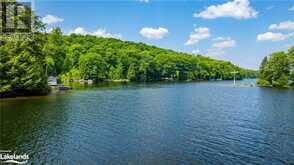 10469 LITTLE HAWK Lake Algonquin Highlands