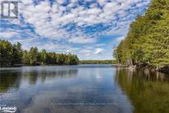 1001 HEMLOCK ROAD Lake of Bays