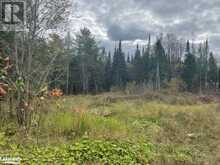 1014 BULRUSH Trail Gooderham