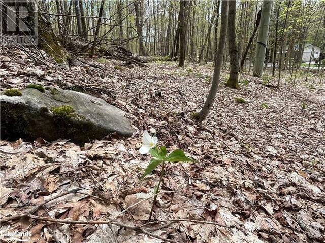 LOT 133 BRENNAN Circle Huntsville Ontario