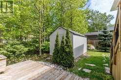 32 PINECONE Avenue Tiny