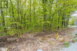 LOT 558 FOREST Circle Simcoe