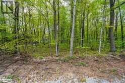 LOT 558 FOREST Circle Simcoe