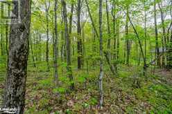 LOT 558 FOREST Circle Simcoe