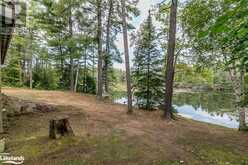 4 SEVERN RIVER Shore Georgian Bay