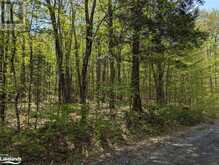 0 HEALEY LAKE Road Bracebridge