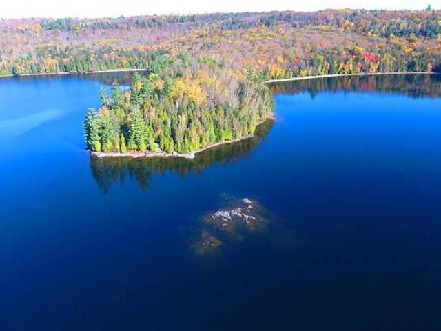 11045 GRACE LAKE - NORTH SHORE Wilberforce Ontario