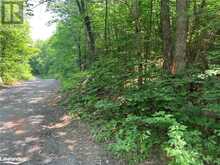 0 SHAWANAGA LAKE Road Whitestone