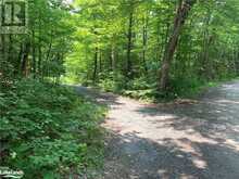 0 SHAWANAGA LAKE Road Whitestone