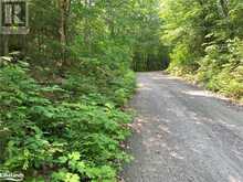 0 SHAWANAGA LAKE Road Whitestone