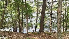 LOT2 SEGUIN RIVER ESTATES LOUISA Street Parry Sound