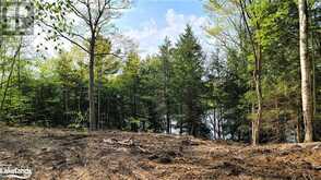 LOT2 SEGUIN RIVER ESTATES LOUISA Street Parry Sound