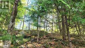 LOT3 SEGUIN RIVER ESTATES LOUISA Street Parry Sound