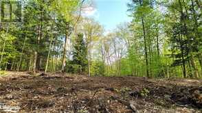 LOT3 SEGUIN RIVER ESTATES LOUISA Street Parry Sound