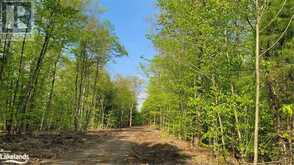 LOT3 SEGUIN RIVER ESTATES LOUISA Street Parry Sound