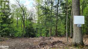 LOT3 SEGUIN RIVER ESTATES LOUISA Street Parry Sound