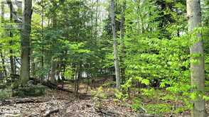 LOT3 SEGUIN RIVER ESTATES LOUISA Street Parry Sound