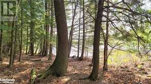 LOT3 SEGUIN RIVER ESTATES LOUISA Street Parry Sound