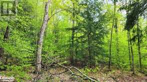 LOT4 SEGUIN RIVER ESTATES LOUISA Street Parry Sound