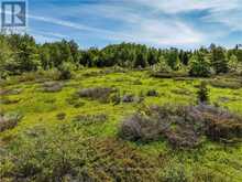 LOT 39 BARTLEY DRIVE Northern Bruce Peninsula