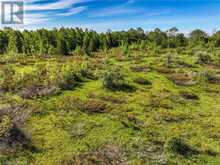 LOT 39 BARTLEY DRIVE Northern Bruce Peninsula