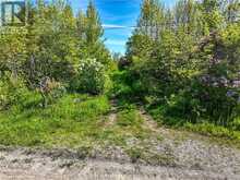 LOT 39 BARTLEY DRIVE Northern Bruce Peninsula