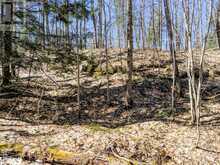 LOT 4 PART 1 CONCESSION 8 MacTier