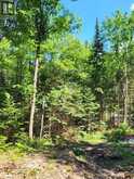 LOT 5 FAIRY FALLS Road Baysville