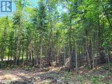 LOT 5 FAIRY FALLS Road Baysville