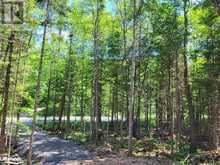 LOT 5 FAIRY FALLS Road Baysville